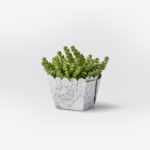 FlowerLine