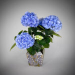 FlowerLine